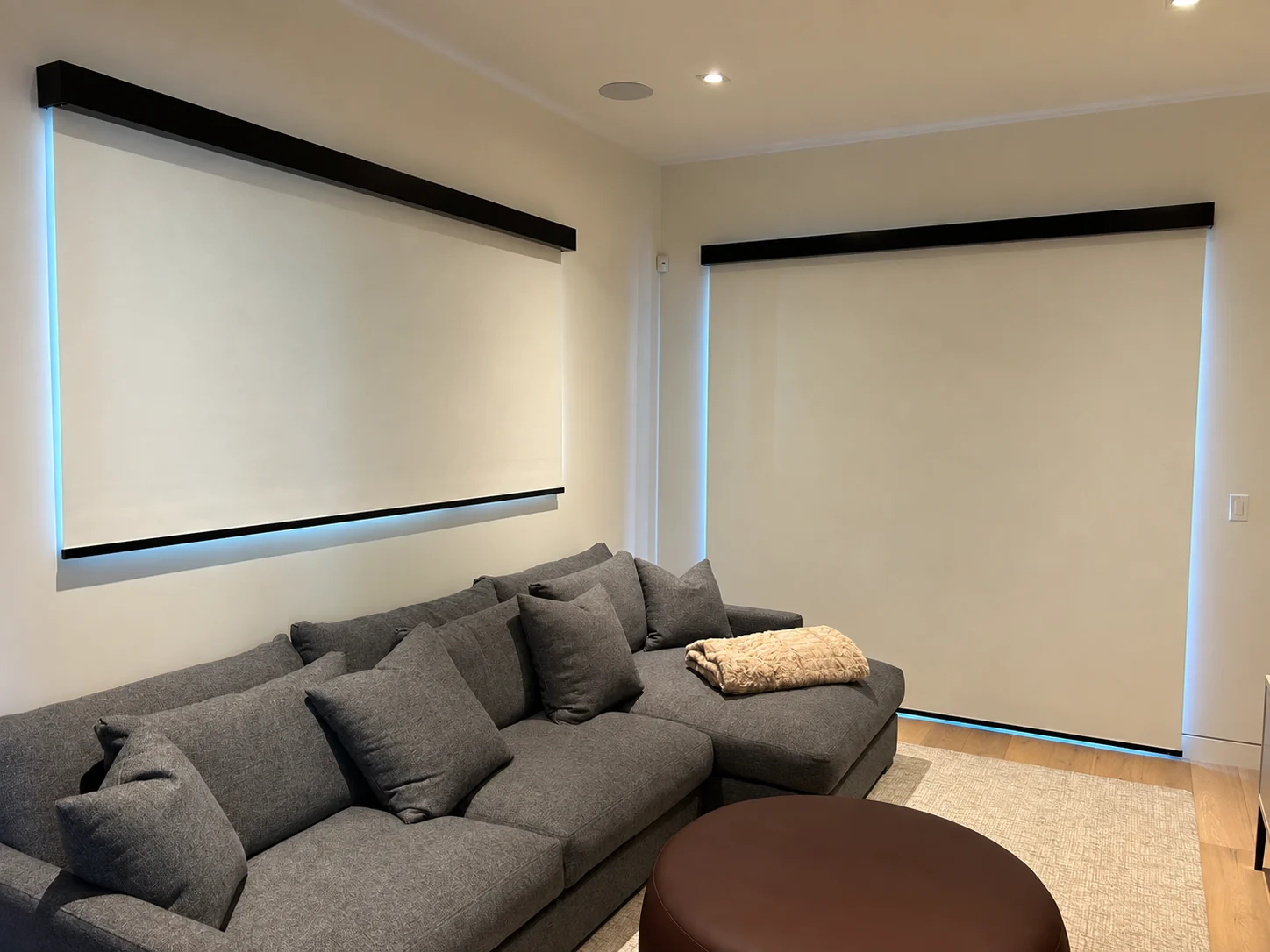 Custom cordless roller shades in a contemporary lounge from the AAA Blinds photo library