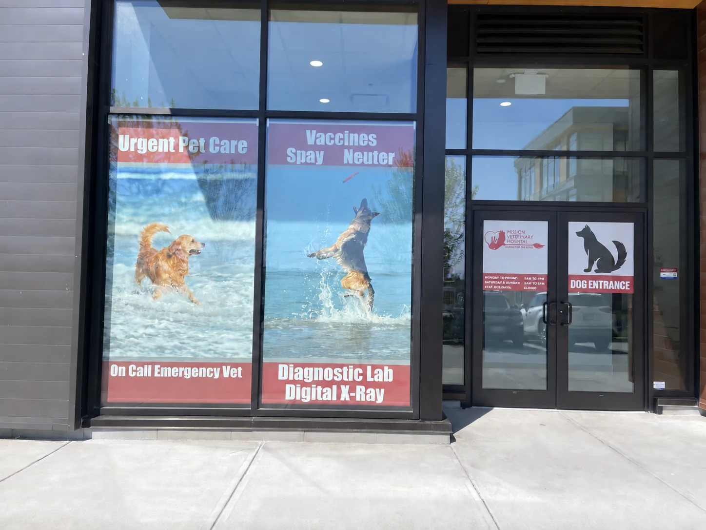 Printed dog artwork on roller shades at a veterinary clinic
