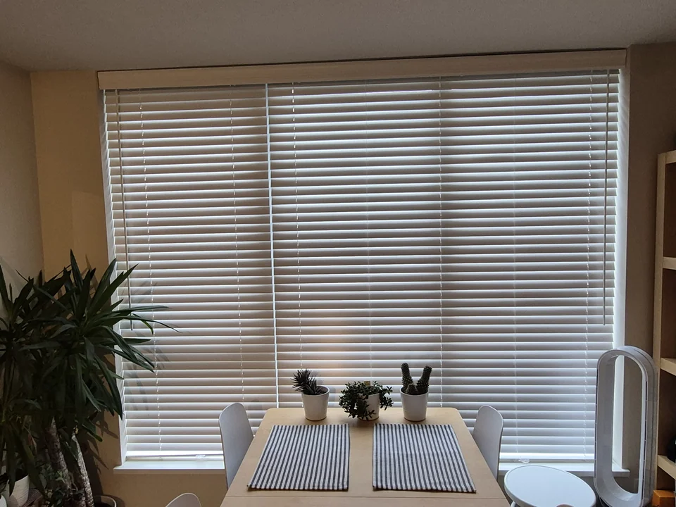White two-inch faux wood blinds beside a dining table and houseplants